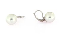 Orecchini Forever Gioielli Donna Orecchini Perla in Argento Perla FGOR00297 - FGOR00297